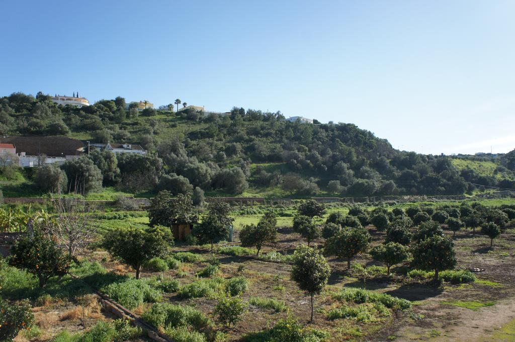 Horta Grande Hotel Silves Bagian luar foto